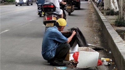 真叫人捏一把汗！身边车水马龙，老人埋首搜捡垃圾…