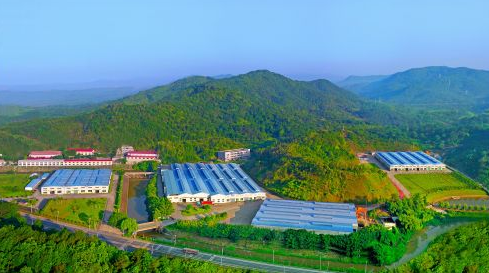 梅县区城东镇党群齐心 共同构建百姓富生态美新农村