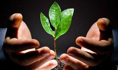 客都议事厅丨以人才支撑为乡村振兴提供内生动力