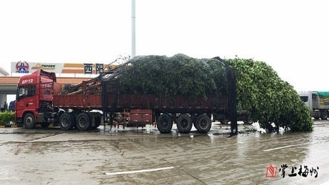 长达23米“庞然大物”开上梅龙高速  交警都吓了一跳…