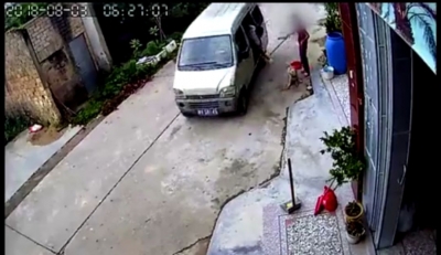 丰顺又现盗狗贼，幸亏机警阿姨一帚扫了过去...