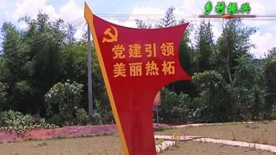 平远县热柘镇：抓住机遇推进乡村振兴发展