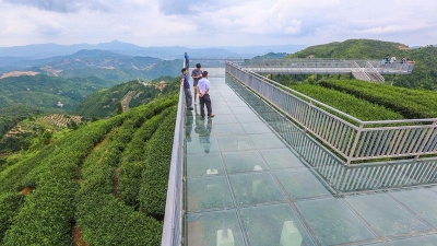 育才治村优环境 特色农业旺旅游！大埔枫朗描绘乡村振兴新画卷