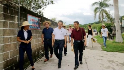 民建广东省委课题组调研大埔古村落保护开发工作