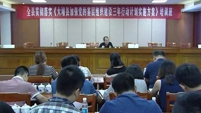 为加强基层党建 ，大埔县举办这个培训班...