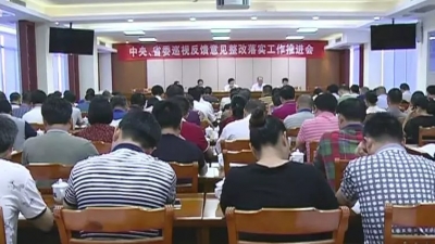 大埔召开中央、省委巡视反馈意见整改落实工作推进会