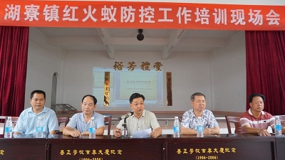 大埔县湖寮镇召开红火蚁防控工作培训现场会