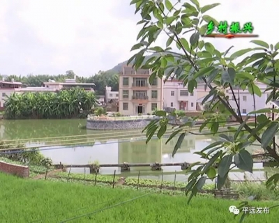 平远长田：镇村干部合力持续深入推进“三清三拆三整治”