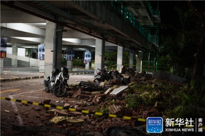 印尼龙目岛7.0级地震致82人死亡，数百人受伤
