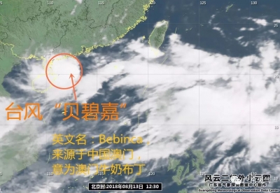 给广东来了个下马威！“贝碧嘉”还要折回登陆！？