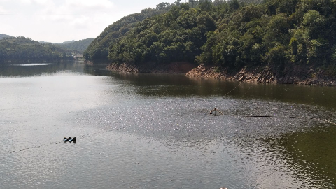 梅州新农人丨王志君：新手新法养健康鱼