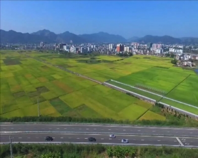 梅县区丙村镇总体规划通过审议！接下来，它会变成...