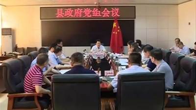 丰顺召开县政府党组会议 传达推进巡视整改工作动员会议精神