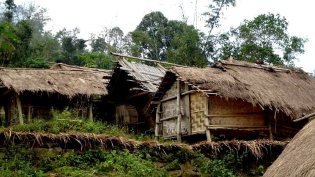 茶座丨面对贫穷现实，请用奋斗逆袭人生！