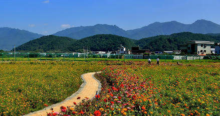 一把手访谈丨蕉岭县委书记陈伟明：打造生态优先绿色发展先行区