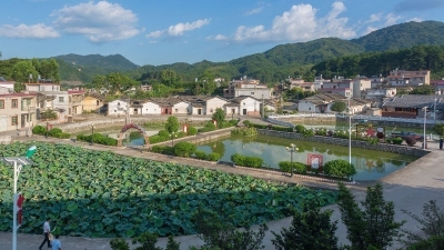 村协商监管 片招标收集 户缴费清理…蕉岭广育村首创新模式治理村垃圾