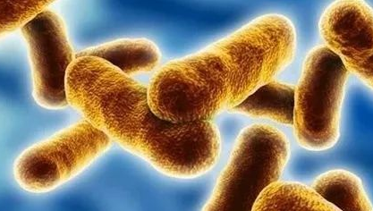内蒙古通辽发生疑似牛炭疽疫情  8人感染病情稳定