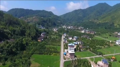 钟光灵到桃尧隆文松源调研 点赞美丽乡村建设工作