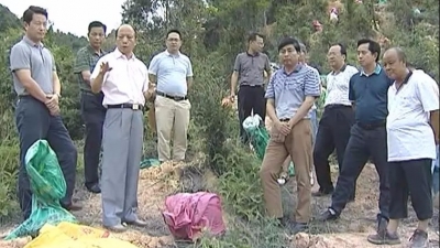 黄建庭带队深入大埔富岭村梅子坪稀土矿整治现场调研