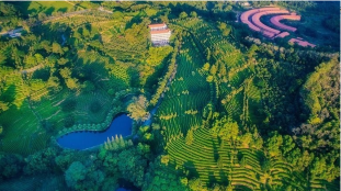 全市全域旅游工作会在梅县区召开