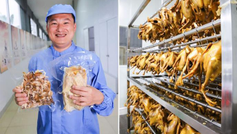 首届“中国农民丰收节”广东分会场梅县区：培植新农人 激发新动能