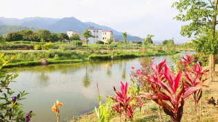 七村联动！丰顺县建桥镇连线成片打造美丽乡村