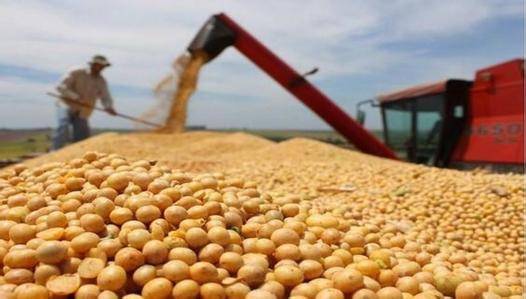 中国相关企业暂停新的美国农产品采购 外交部回应