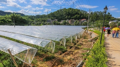 梅江区双黄村：巧打“生态牌” 增添“绿动能”