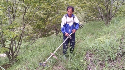 七年种下200多棵板栗树  平远51岁农民一人一锄垦出板栗园