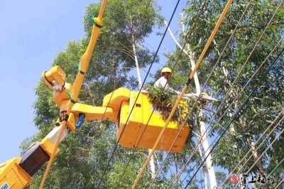 丰顺排查整治供电线路隐患，力保强对流天气供电稳定
