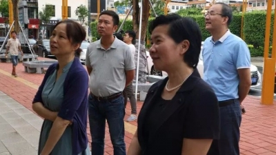 大埔县创建国家卫生县城工作顺利通过市级专家组技术评估