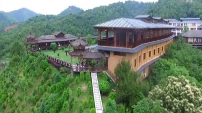 梅县区：农业发展创佳绩 荣当“中国农民丰收节”广东主会场