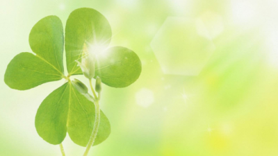 辣评丨家长花式“求关注”，学校应花式“求理解”