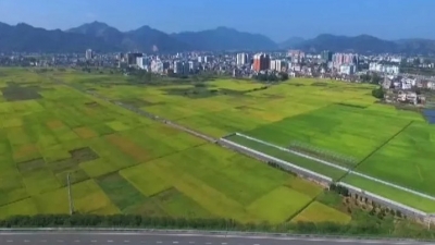 北大、中山大学等纷纷设立这个学院！就业前景乐观