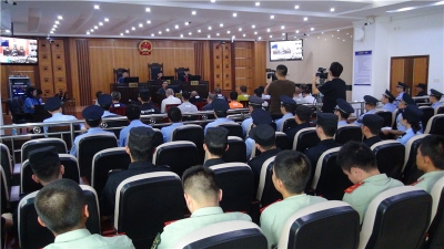 涉嫌开赌场、故意伤害…大埔17人被公诉