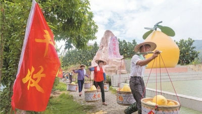 “柚”见丰收 甜蜜梅州 ——“中国农民丰收节”梅州全景花絮