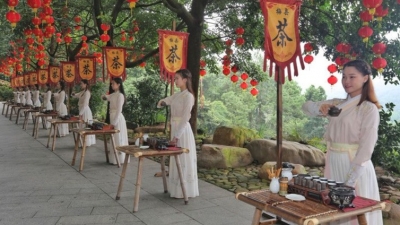 万事俱备！采茶、歌舞…丰收节雁南飞分会场彩排咯！