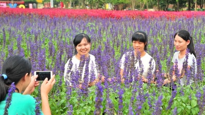 国庆不知去哪玩？来平远曼佗山庄看花海和 “曼佗长城”吧