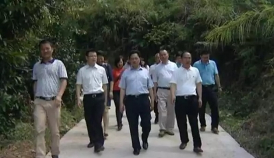 广州市海珠区政协主席江绍强莅埔调研精准扶贫工作