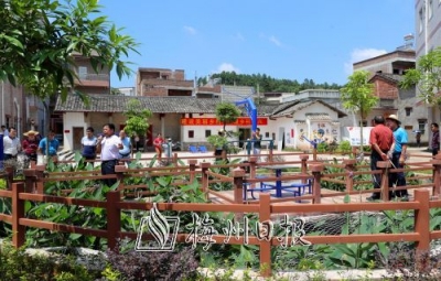 专家为水环境把脉问诊，这一站去五华...