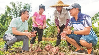 不离家、不离土，就能融入产业发展！平远石正群众这样脱贫