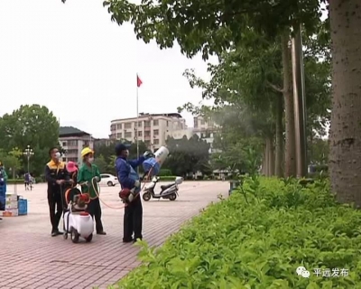 平远开展全城灭蚊消杀行动 助力创建“国家级卫生县城”