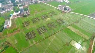 梅县区借办“丰收节”之机 促乡村振兴发展