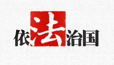 学习笃行丨发挥地方立法作用 推动市域社会治理