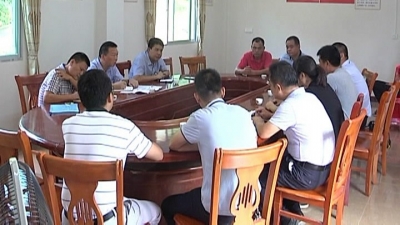 胡新文到东石镇白岭村调研软弱涣散村党支部整改工作