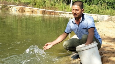 梅州新农人丨刘荣祥：养健康鱼，做“有良心的农民”