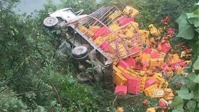 一地鸡毛！载鸡货车爆胎失控翻落山坡，鸡逃出笼子后都懵了