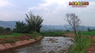 平远东石：借力扫黑除恶治乱，高效推进中小河流治理