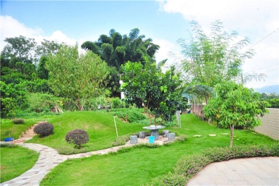 创建梅县“美丽庭院”，展示绿美“客韵乡村” ！这画面一定美极了...