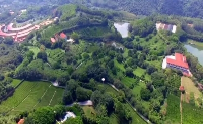 梅县区：现代工业与生态产业齐飞 助推高质量发展